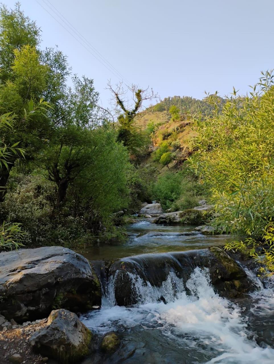 Rivulet Resort & Camping Mussoorie Extérieur photo