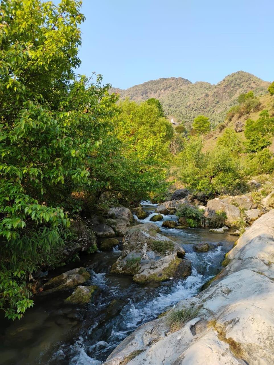 Rivulet Resort & Camping Mussoorie Extérieur photo
